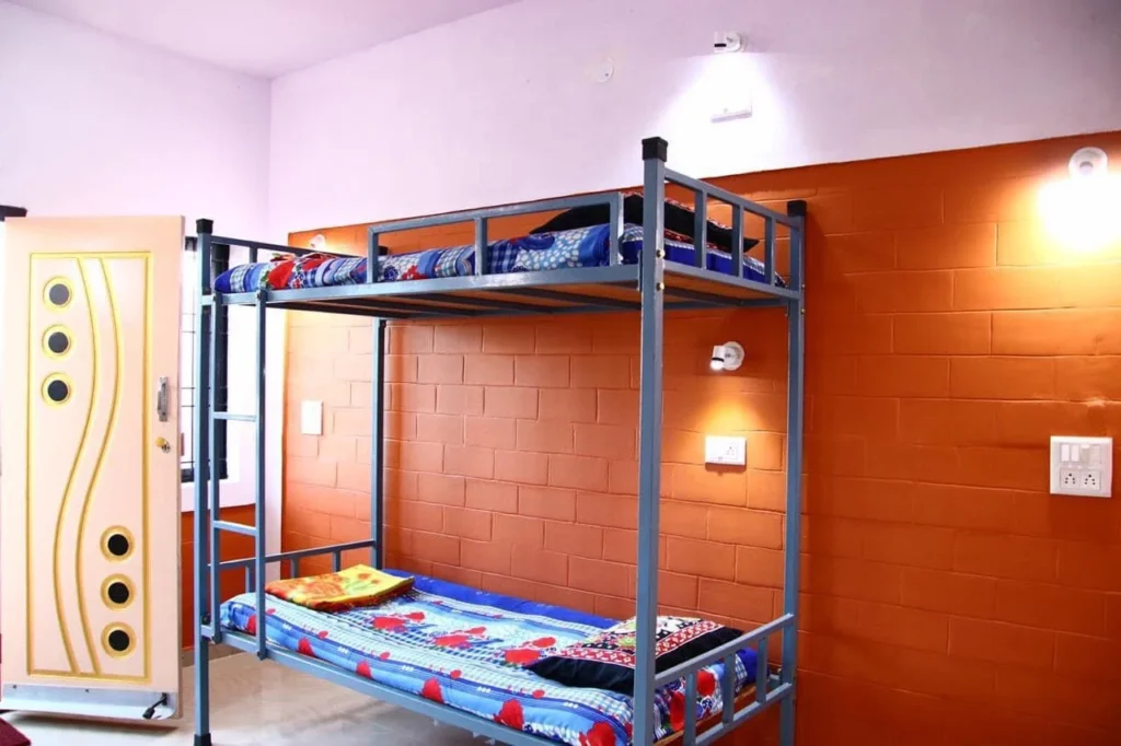 Where Comfort Meets the Wild