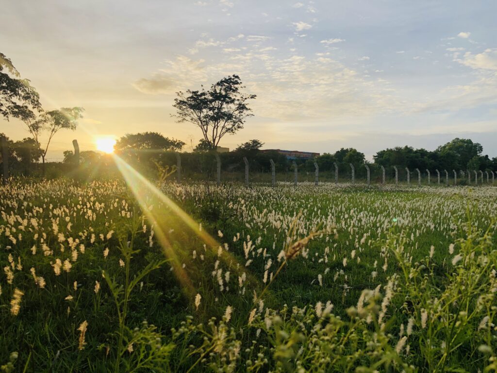 Unwind Under the Stars: A Unique Hotel Campside Stay